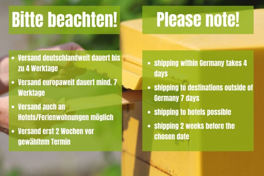 Berlin: Scavenger Hunt Self-Guided Tour - How the Self-Guided Tour Starts at Alexanderplatz