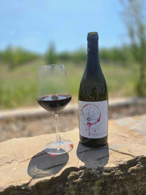 Bertinoro: Romagna Wines Authentic Tasting Experience - Exploring the Wines Tasted at the Family Winery