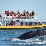 Best Tour to Peninsula Valdes - Visiting Puerto Pirámides: The Heart of Marine Wildlife