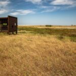 Best views to Porto from Gaia. VW Kombi tour with cocktail - Starting at Serra do Pilar for Porto’s Most Iconic View