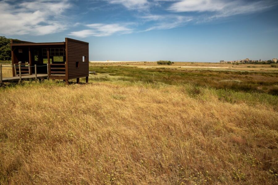 Best views to Porto from Gaia. VW Kombi tour with cocktail - Starting at Serra do Pilar for Porto’s Most Iconic View
