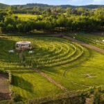 Best Winery with Restaurant and wine tasting from Florence - San Gimignano’s Historic Tower and Scenic Views