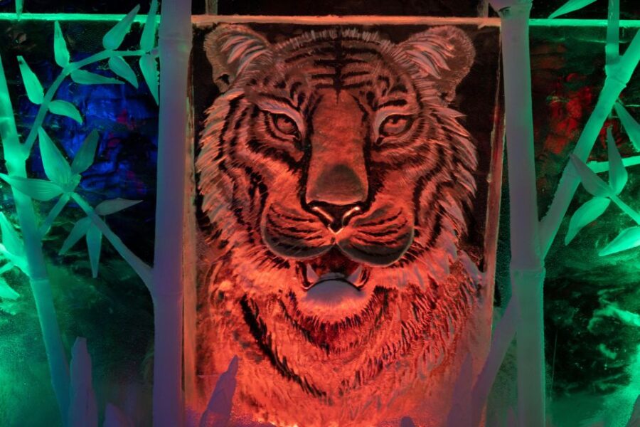 Biddinghuizen: Dutch Ice Sculpture Festival Entry Ticket - The Street Art Exhibition from Emerging Artists