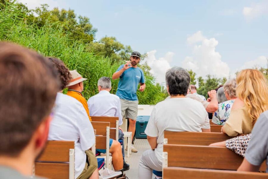 Biesbosch: National Park Cruise - Exploring De Biesbosch: Scenic Creeks and Green Forests