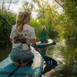 Biesbosch: SUP Board Rental - Exploring the Creeks of the Biesbosch on a SUP Board