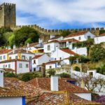 Big Waves of Nazaré - Private Tour - From Lisbon to the Magnificent Waves of Nazaré
