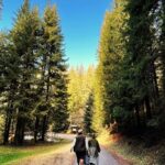 Bijambare Cave and Spring of River Bosna Tour - Forest Walk to Bijambare Cave Complex