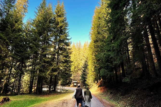 Bijambare Cave and Spring of River Bosna Tour - Forest Walk to Bijambare Cave Complex