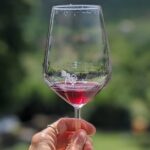 Bike Ride & WIne Tasting - Visiting Mutigliano: Olive Oil and Wine Production