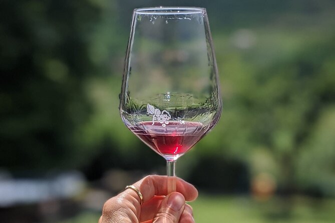 Bike Ride & WIne Tasting - Visiting Mutigliano: Olive Oil and Wine Production