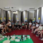 Bike Tour among the Ancient Olive Trees with EVO Oil Tasting - Visiting a Modern Oil Mill for Tasting and Learning