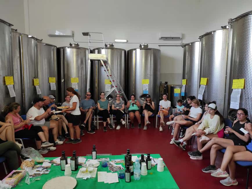 Bike Tour among the Ancient Olive Trees with EVO Oil Tasting - Visiting a Modern Oil Mill for Tasting and Learning