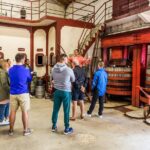 Bike Tour by Saby - Exploring the Vineyards and Cellars with Saby