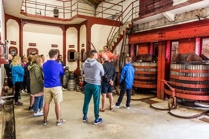 Bike Tour by Saby - Exploring the Vineyards and Cellars with Saby