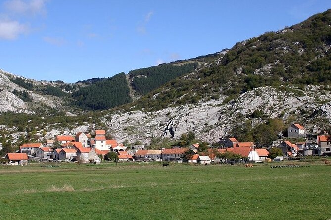 Bike tour - Panoramic downhill from Njegui and Kotor serpentines - Exploring Njegusi Village and Its Cultural Charm