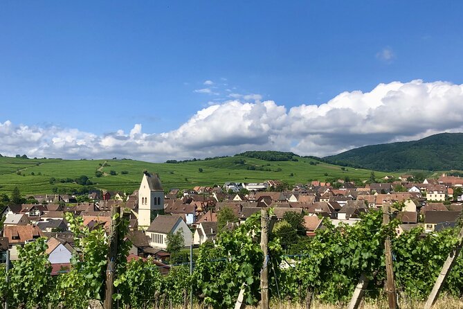 Bike tour with a local - Comfortable Bikes and Gear for a Smooth Ride