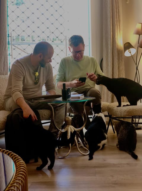 Bilbao: 1 Hour Entry Ticket to a Cat Café - The Location: El Salón de Mi Casa in Bilbao