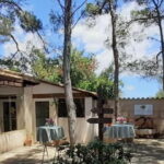 Binissalem: Individual vineyard tour and wine tasting in German - Discover Binissalems Charm and Winemaking Heritage