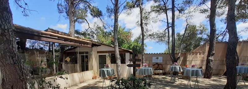 Binissalem: Individual vineyard tour and wine tasting in German - Discover Binissalems Charm and Winemaking Heritage