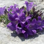 Biokovo Skywalk - The Exciting Glass Promenade on Biokovo Mountain