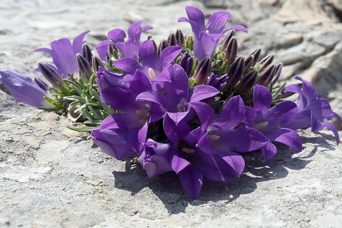 Biokovo Skywalk - The Exciting Glass Promenade on Biokovo Mountain