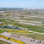 Birdwatching Boccadoro: the wildlife of the wetland - Starting Point at the Boccadoro Aqueduct and Bay