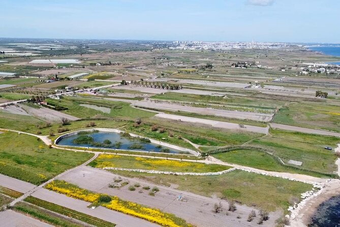 Birdwatching Boccadoro: the wildlife of the wetland - Starting Point at the Boccadoro Aqueduct and Bay