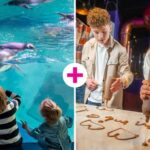 Birmingham: Cadbury World & SEA LIFE Birmingham - The Entrance to Birmingham’s Chocolate World and Marine Wonderland