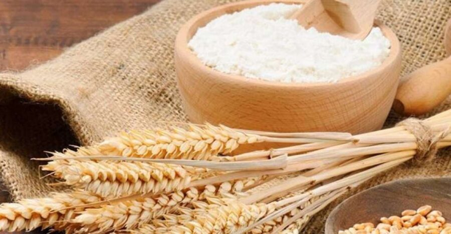 Bisacquino: Grandpa Mommo's Mill Tour - The Family Legacy of Grandpa Mommo’s Mill