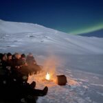 Björkliden/Abisko: Night Sky Snowmobile Tour - Driving a Snowmobile Through the Arctic Wilderness