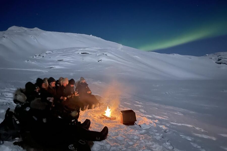 Björkliden/Abisko: Night Sky Snowmobile Tour - Driving a Snowmobile Through the Arctic Wilderness