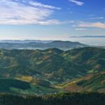 Black Forest Day Tour - Starting Point: Convenient Pickup from Heidelberg