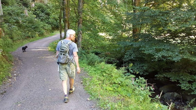 Black Forest: Ravenna Gorge Hike, Self-Guided - What’s Included in the Ravenna Gorge Self-Guided Tour?