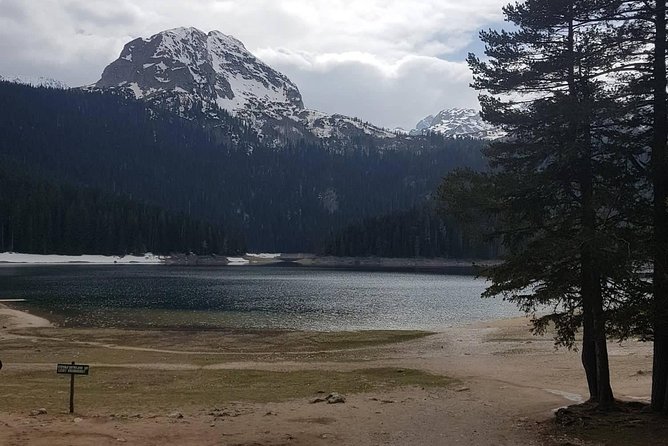 Black Lake and Djurdjevica Tara Bridge (Private tour) - The Architectural Marvel of Djurdjevica Tara Bridge