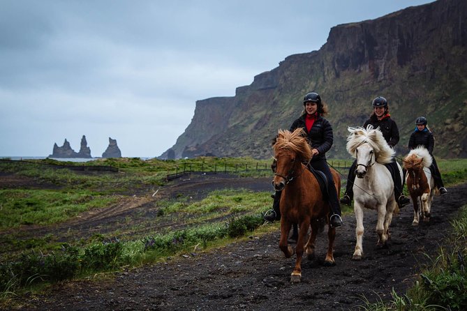 Black Sand Beach Horse Riding Tour from Vik - The Unique Charm of Vik’s Black Sand Beach