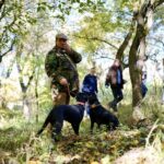 Black Truffle Hunt, Foie Gras & Wines with Budapest Pickup. - Authentic Black Truffle Hunt with Local Dogs