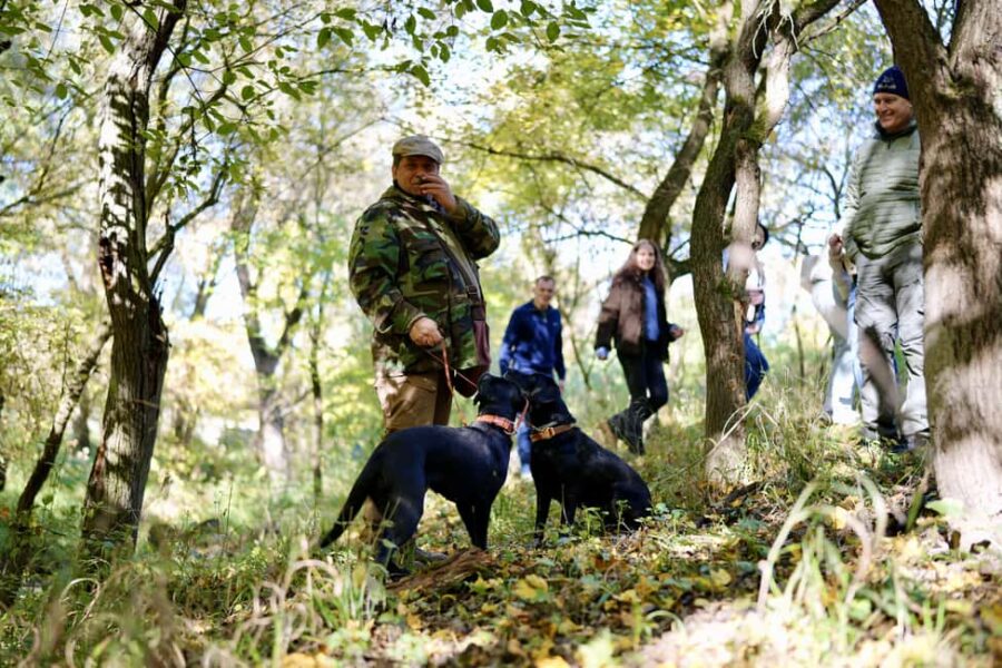 Black Truffle Hunt, Foie Gras & Wines with Budapest Pickup. - Authentic Black Truffle Hunt with Local Dogs