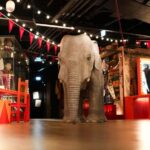 Blackpool: Showtown Entry Ticket - Showtown’s Central Location in Blackpool