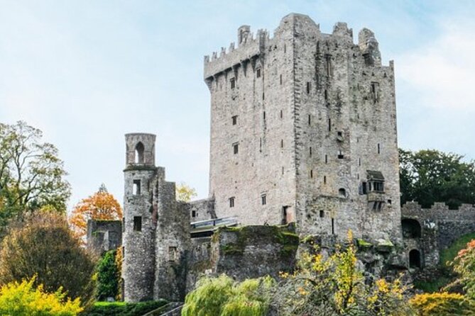 Blarney Castle and The Rock of Cashel with Private Chauffeur Tour - From Dublin to the Historic Cliffs of Cashel