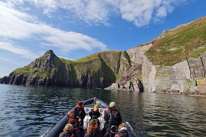 Blasket Island Sea Life Rib Tour, - Marine Wildlife Encounters in Dingle Bay