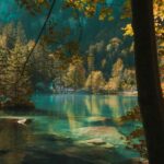 Blausee: Lake and Swiss Fondue Experience - Secret Stop for Cheese Tasting in a Cozy Setting