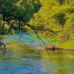 Blue Eye tour - Visiting the Blue Eye: A Natural Wonder