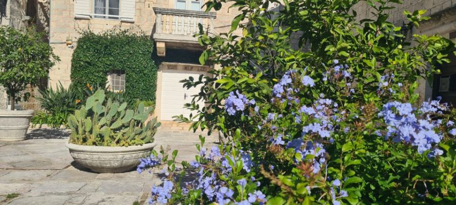 Blue Sea & Black Mountains - Montenegro - Scenic Drive to Perast and Its Aristocratic Heritage