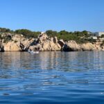 Bluemarine.me license free Bayliner Element E5 rental - What Makes the Bayliner E5 a Fun Choice for Mallorca Explorers
