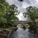 Boat Only Ticket (Walk the Gap of Dunloe) - Experiencing the Lakes of Killarney from the Water