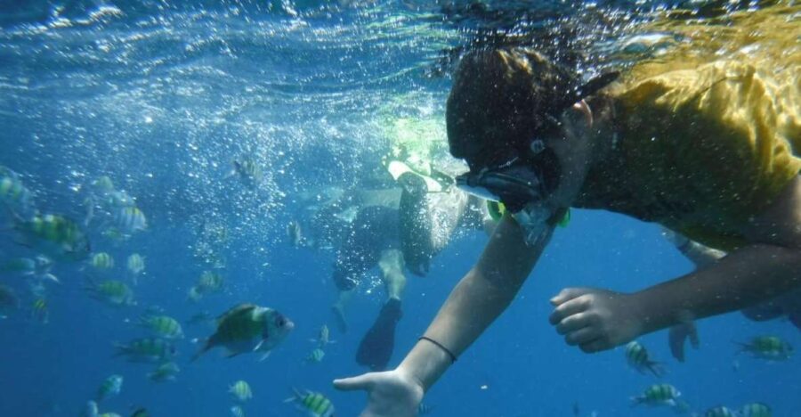 Boat tour from Avola to Portopalo with visit of Marzamemi - Leaving Avola: The Starting Point and Route