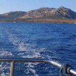 Boat tour of Asinara at sunset with aperitif on board - The Experience of Swimming and Snorkeling in Asinaras Clear Waters