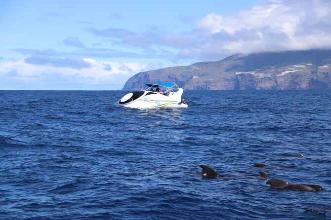 Boat trip along the Northwest Coast of La Palma - Visiting the Caves: La Cueva Bonita and La Cueva Colorada