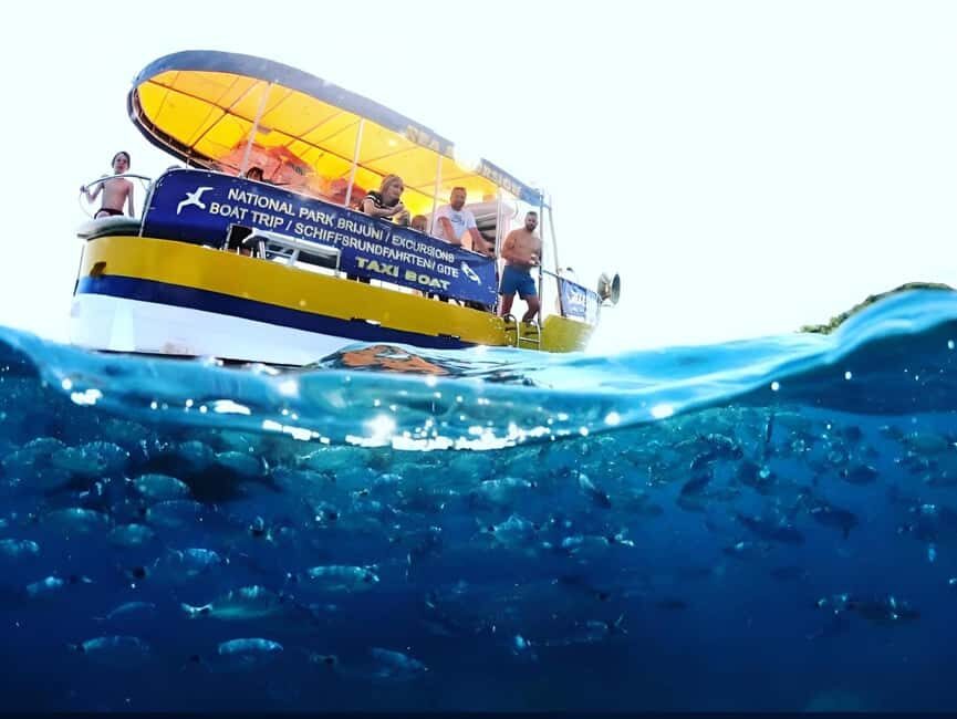 Boat Trip  Coastal Tour from Faana to Pula and snorkelling - Starting the Tour: From Faana’s Port to the Croatian Coastline