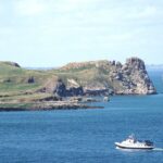 Boat Trip from Dun Laoghaire to Howth - Wildlife and Nature Highlights